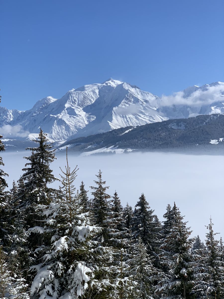 Venez D Couvrir Combloux Et Les Chalets De La Combe Aux Loups Mixcit